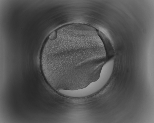 X0000088440944200706191250