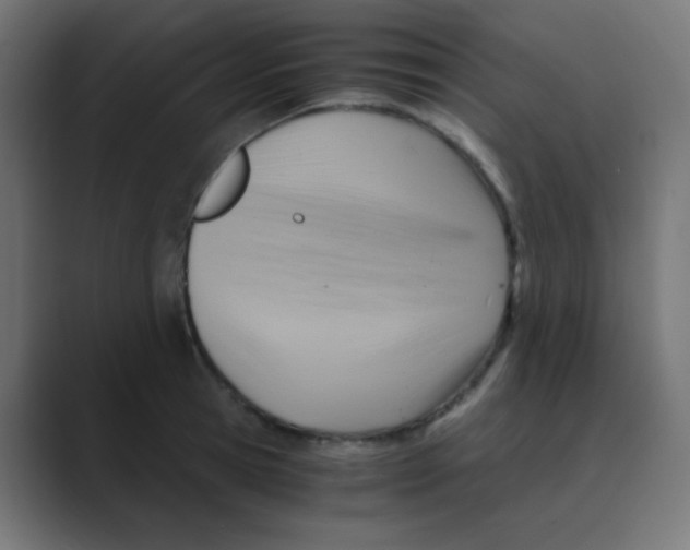 X0000088440945200706191250