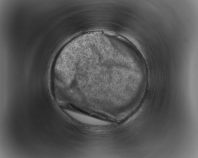 X0000088440949200706191250