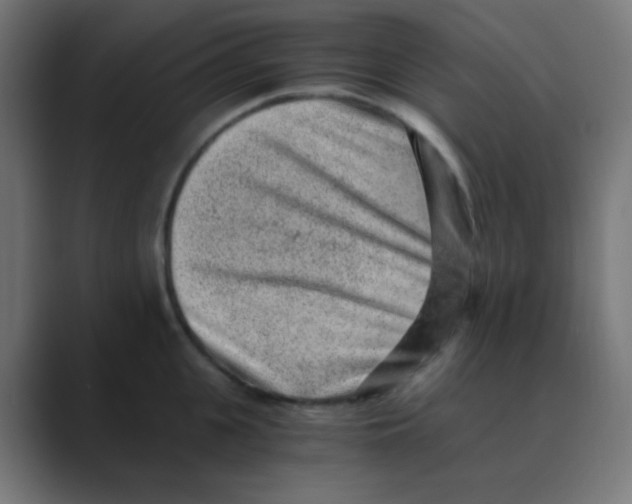 X0000088440951200706191250