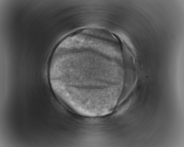 X0000088440952200706191250