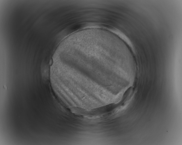 X0000088440953200706191250