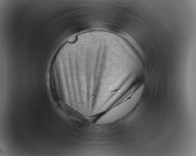 X0000088440955200706191250