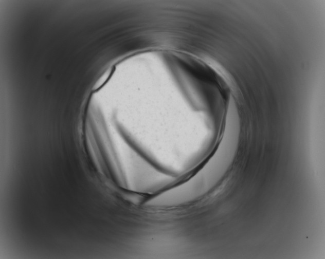 X0000088440956200706191250