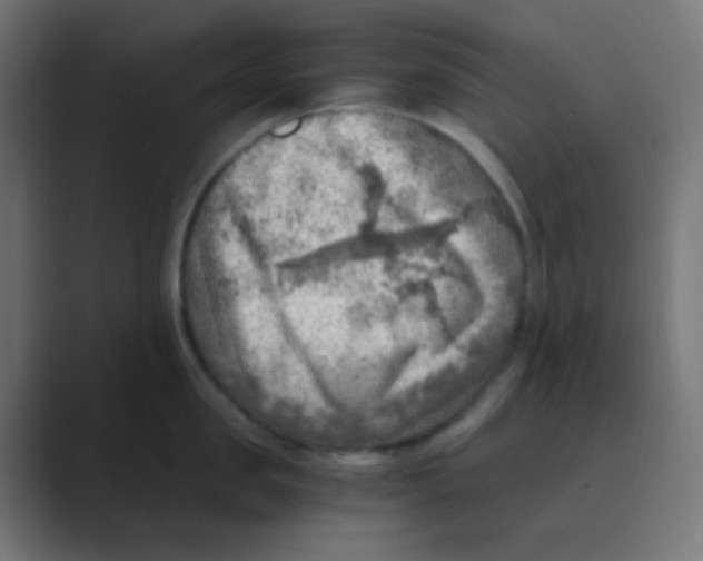 X0000088440957200706191250