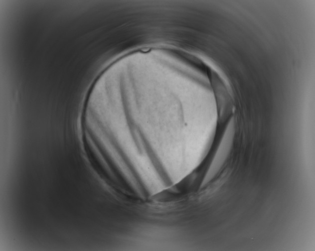X0000088440959200706191250