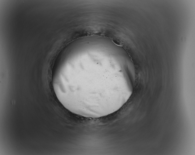 X0000088440961200706191250