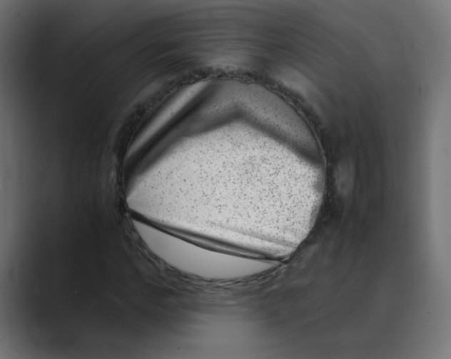 X0000088440968200706191249