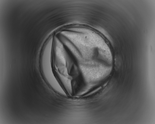 X0000088440972200706191249