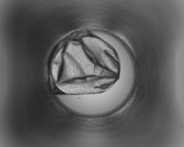 X0000088440973200706191249
