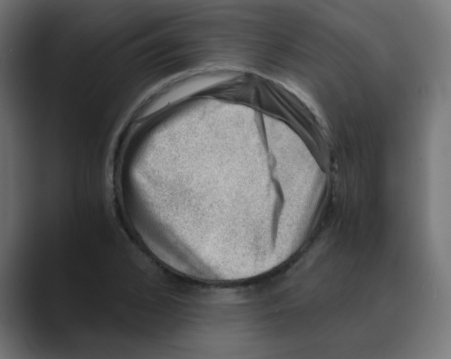 X0000088440976200706191249