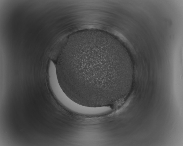X0000088440977200706191249