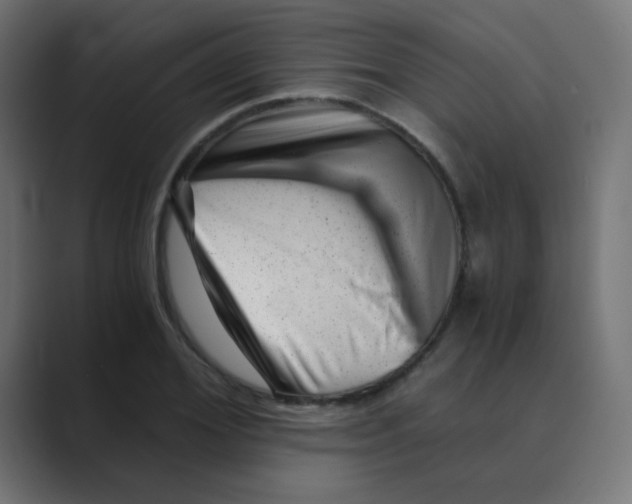 X0000088440980200706191249