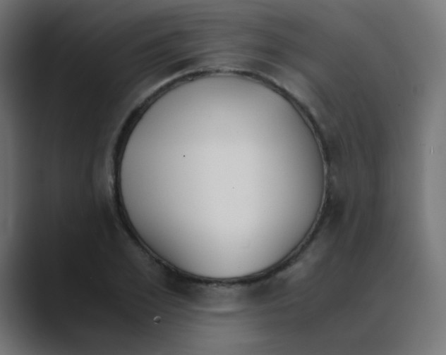 X0000088440981200706191249