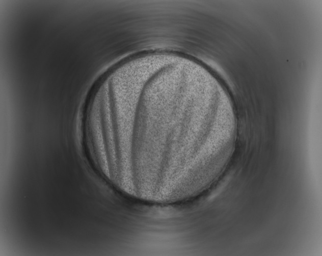 X0000088440983200706191249