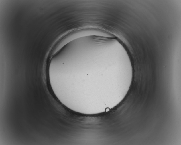 X0000088440984200706191249