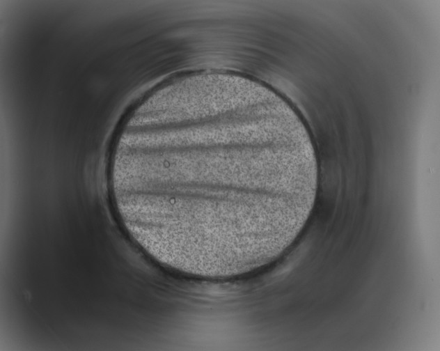 X0000088440987200706191249