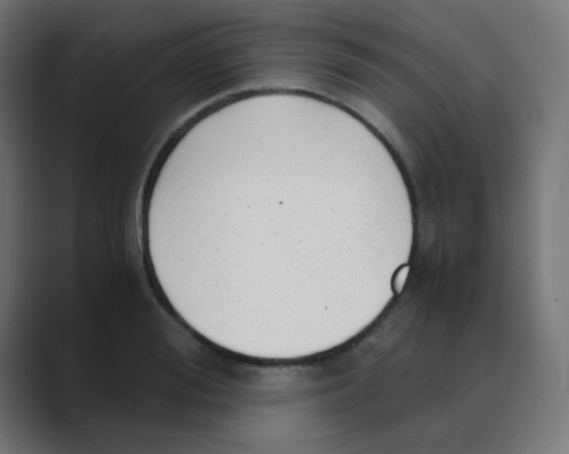 X0000088440988200706191249