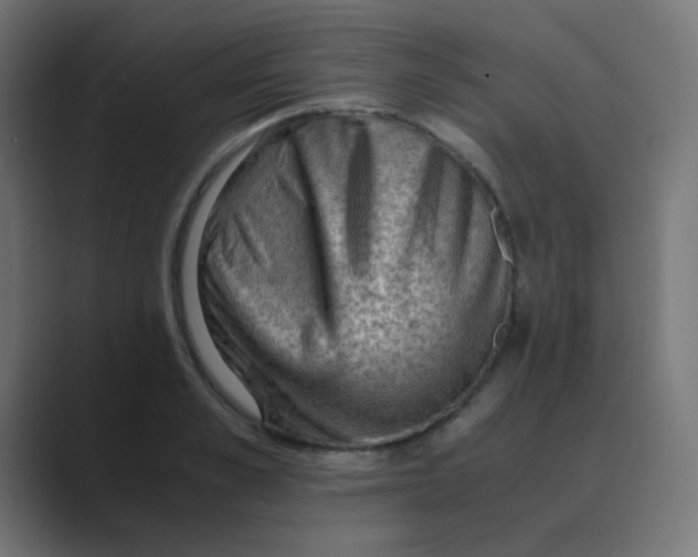 X0000088440989200706191249