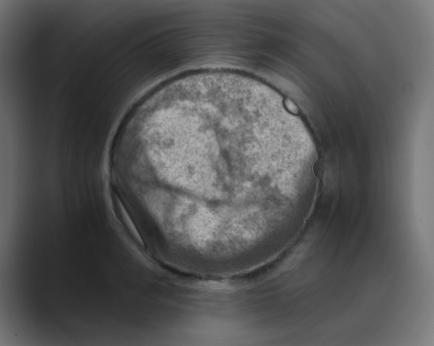 X0000088440990200706191249
