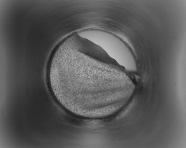 X0000088440991200706191249