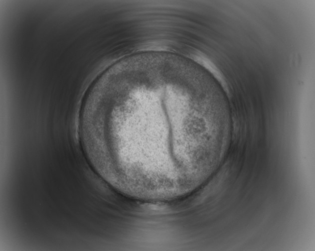 X0000088440994200706191249