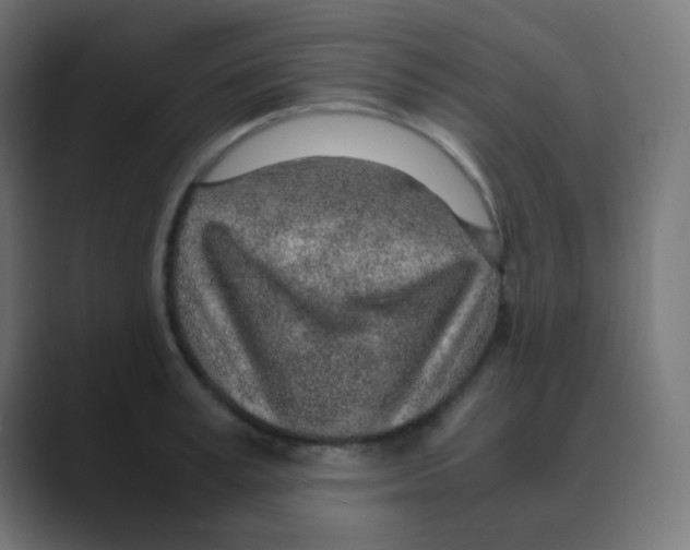 X0000088440995200706191249