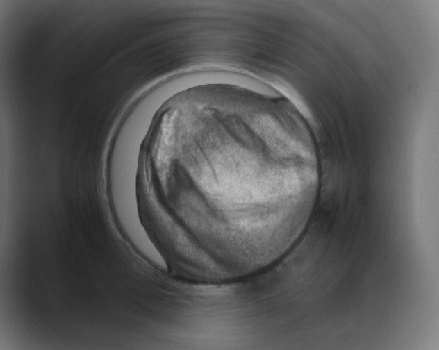 X0000088440996200706191249