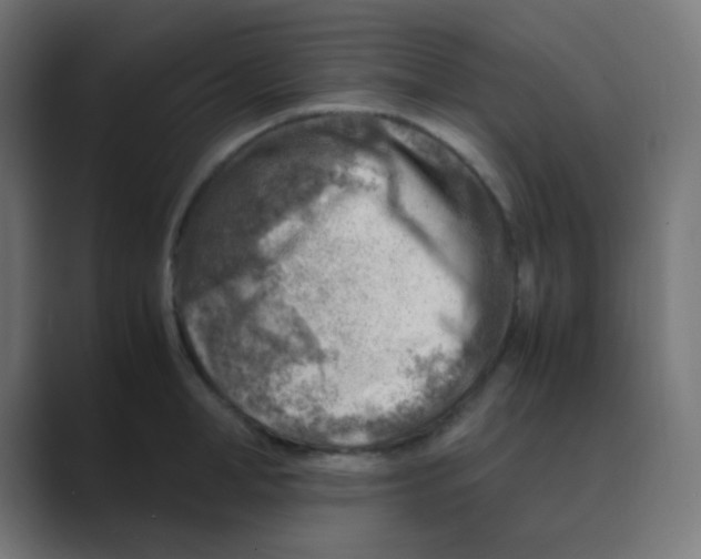 X0000088440998200706191249