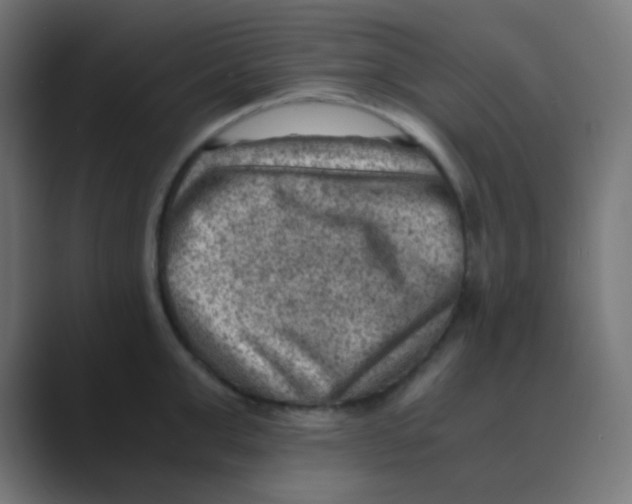 X0000088440999200706191249