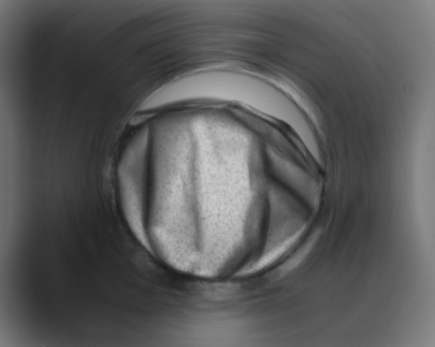 X0000088441001200706191249
