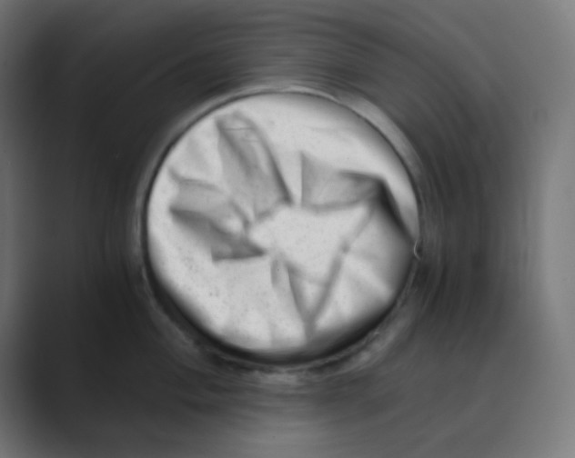 X0000088441004200706191249