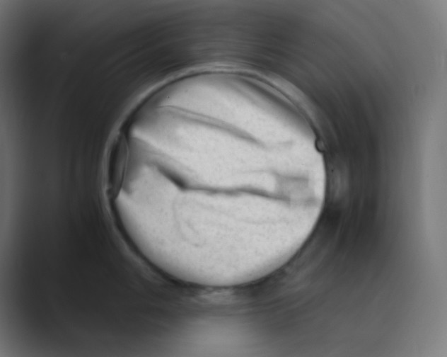 X0000088441006200706191249