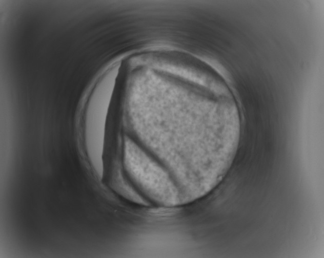 X0000088441008200706191249