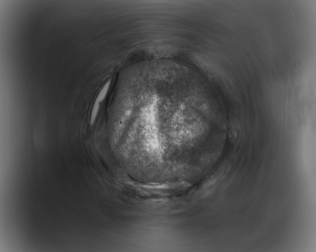 X0000088441010200706191248