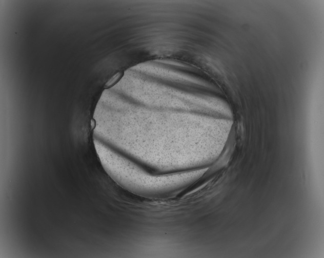 X0000088441012200706191249