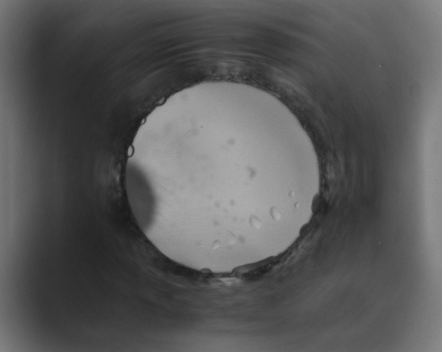 X0000088441013200706191249