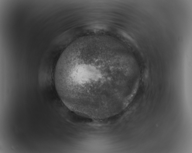 X0000088441014200706191249