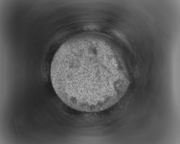 X0000088441015200706191249