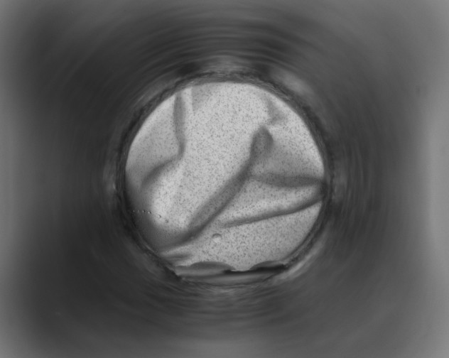 X0000088441017200706191249
