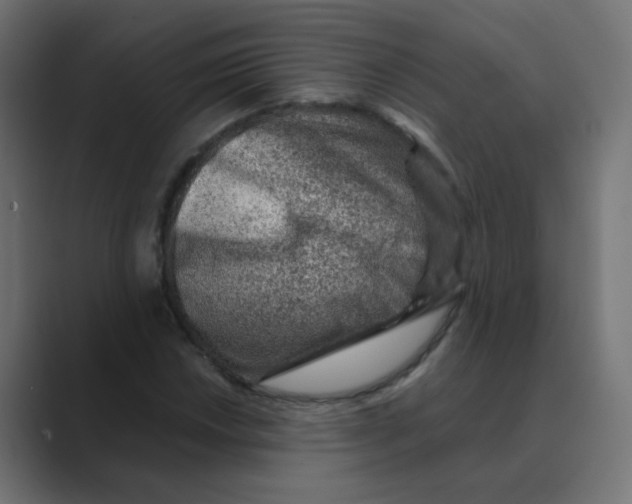 X0000088441018200706191249