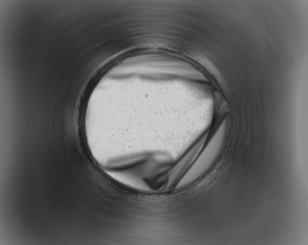 X0000088441020200706191249