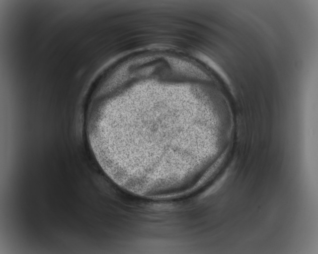 X0000088441021200706191249