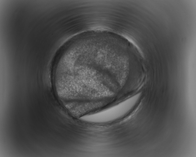X0000088441022200706191249