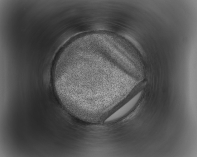X0000088441023200706191249