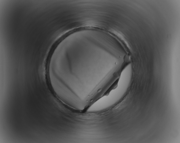 X0000088441024200706191249