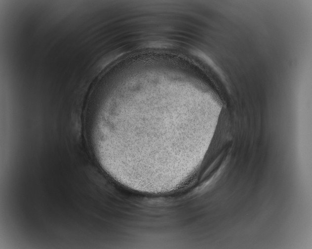 X0000088441025200706191249