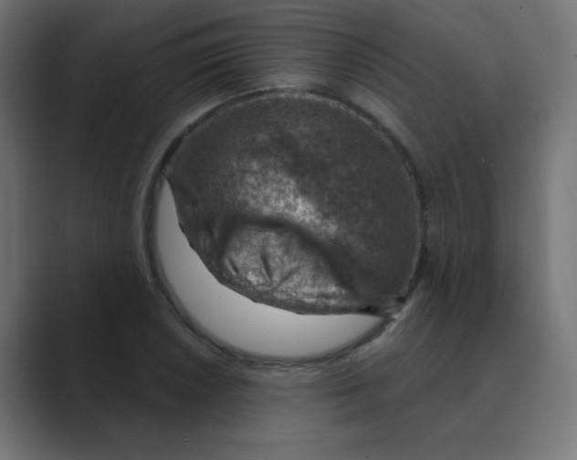 X0000088441026200706191249
