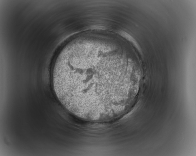 X0000088441027200706191249