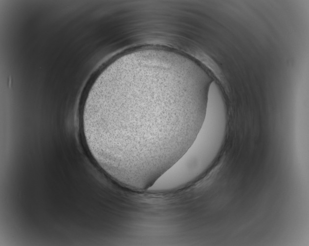 X0000088441028200706191249